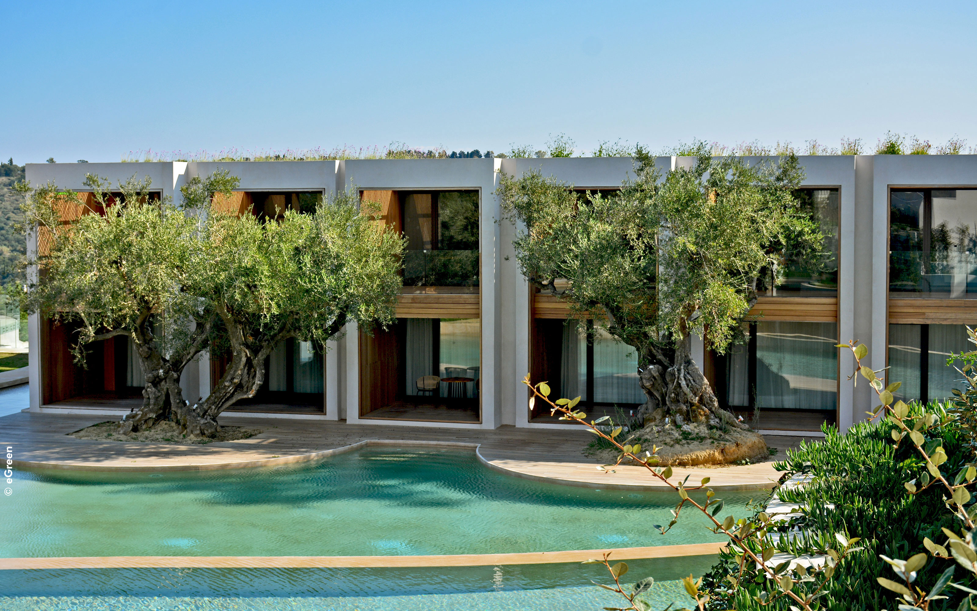 The green roofs add to the peaceful, relaxing design. Hotel complex with water basins and olive trees